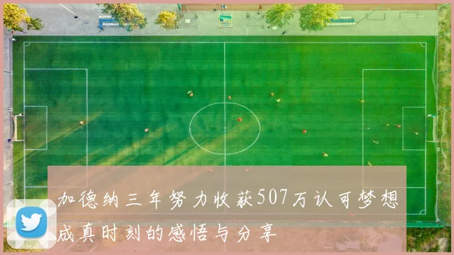 加德纳三年努力收获507万认可梦想成真时刻的感悟与分享